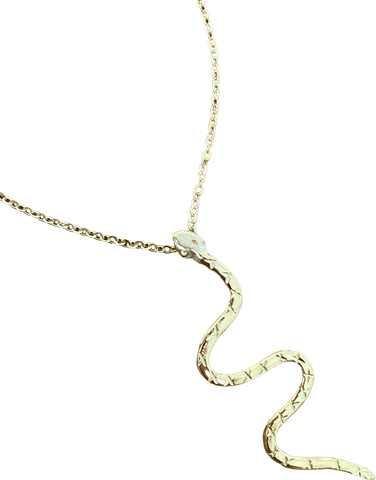 The “snake” necklace - gold or silver