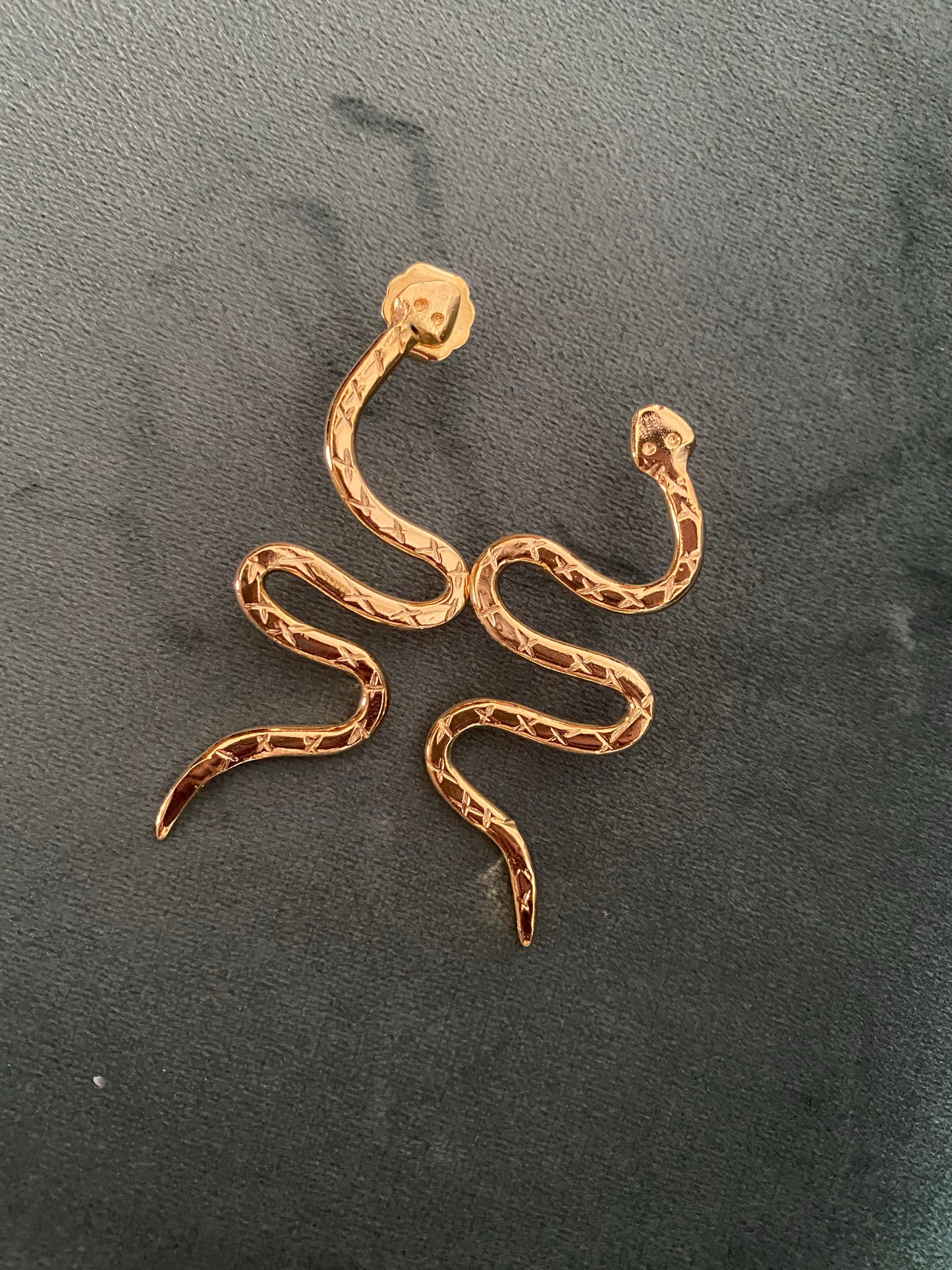 The “Snake” lover - gold or silver